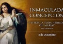 Ven a celebrar la Inmaculada Concepción