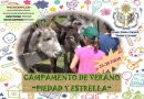 X CAMPAMENTOS DE VERANO