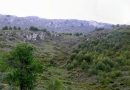 V Ruta Senderista
