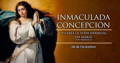 Celebramos la Inmaculada Concepción de María